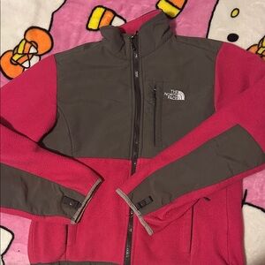 The North Face Fuchsia and Charcoal Jacket